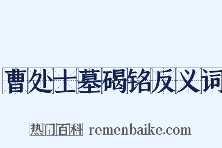 曹处士墓碣铭反义词是什么意思的图片